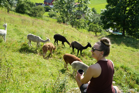 Vik i Sogn: Authentischer Bauernhofbesuch