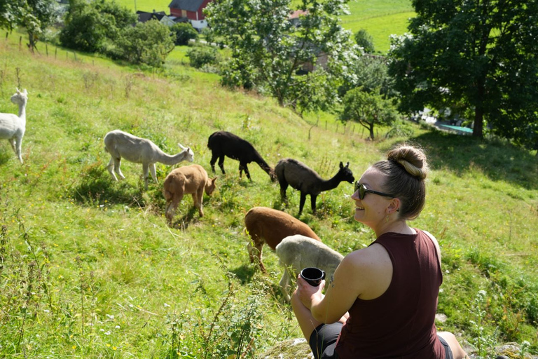 Vik i Sogn: Authentieke boerderij bezoekenVik i Sogn: Authentiek boerderijbezoek