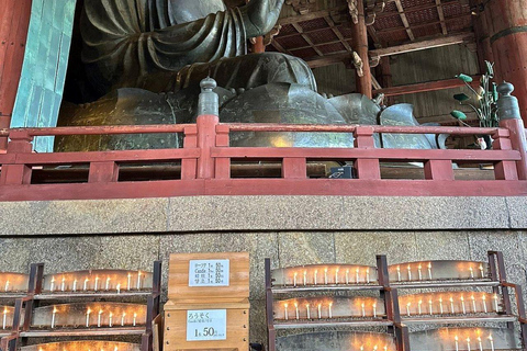 Nara Gardens and Temples Private Guided Tour with Transport