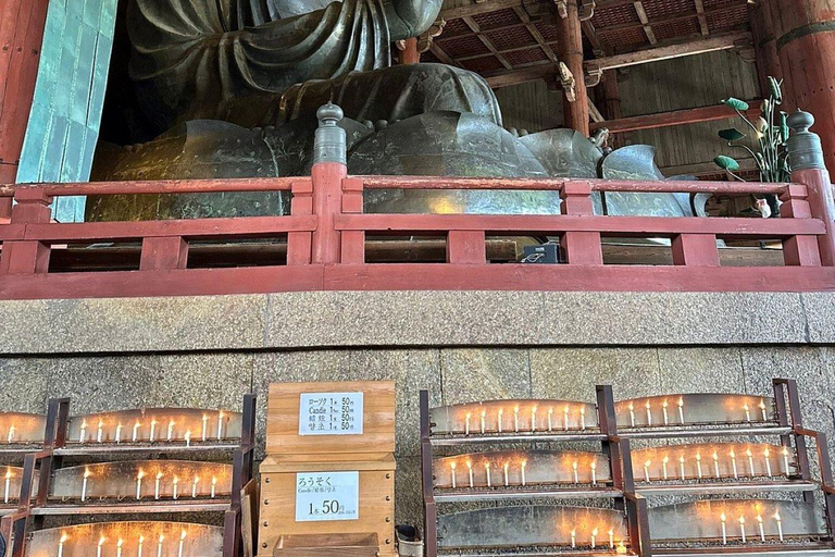 Nara Gardens and Temples Private Guided Tour with Transport