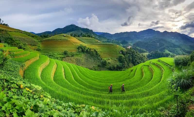 3-Day Sapa Trek Adventure Tour with Local Guide | GetYourGuide