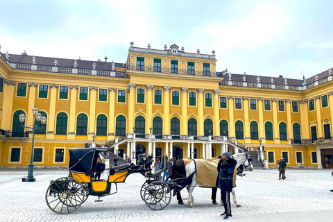 Vienna: UNESCO Schönbrunn Palace Guided Tour with Entry