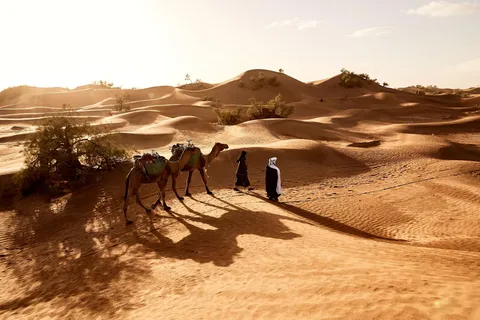 2 jours d'exploration privée de la Tunisie et expérience du Sahara