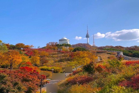 Seoul: Scenic Autumn Maple Tour