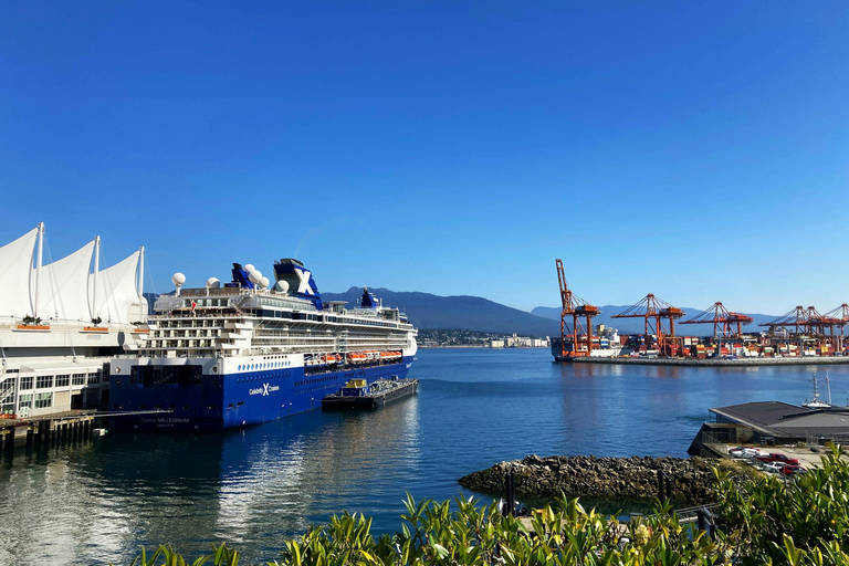 Bali: Celukan Bawang Port Shore Excursion Day Tour Trips 2