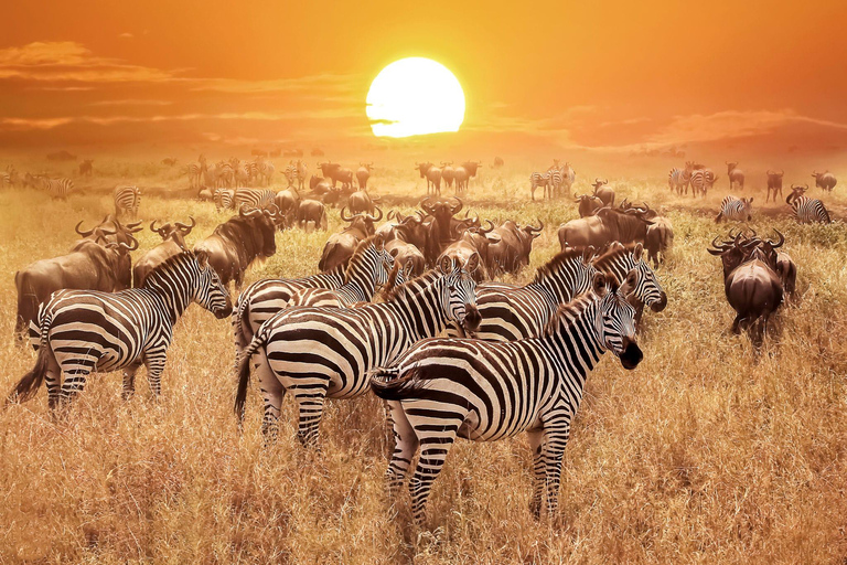 3-Day Amazing Serengeti and Ngorongoro Safari