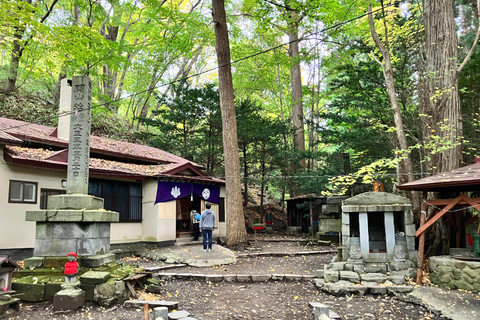 Otaru & Sapporo: Full-Day Tour with Train Ride