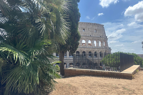 Small Group Guided Tour Colosseum Roman Forum, Palatine Hill Standard Tickets