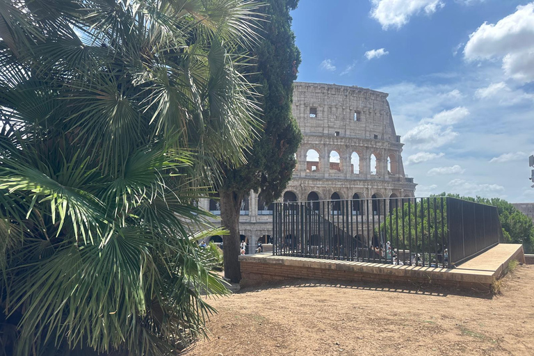Small Group Guided Tour Colosseum Roman Forum, Palatine Hill Standard Tickets