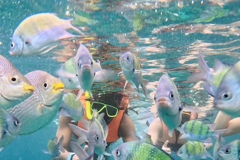 Phi Phi Islands: Shark Snorkeling Phi Phi Islands: PRIVATE VIP Shark Snorkeling - 4h