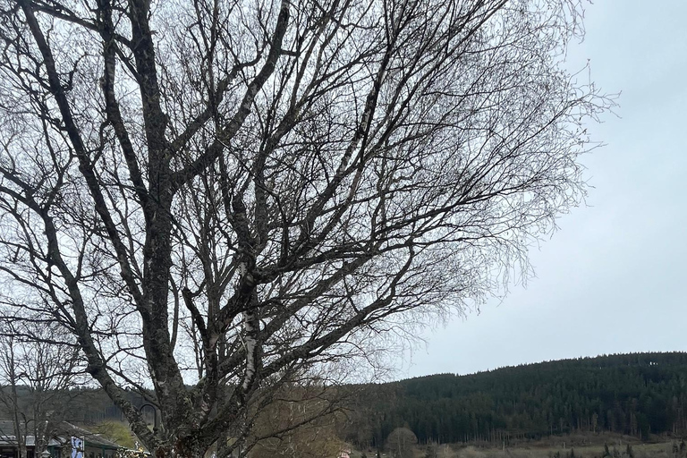 Vanuit Bazel: privé-excursie naar het Zwarte Woud, watervallen en meren