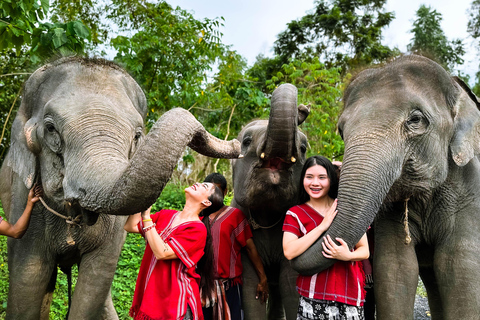 Phuket : Experience feeding and bathing elephants