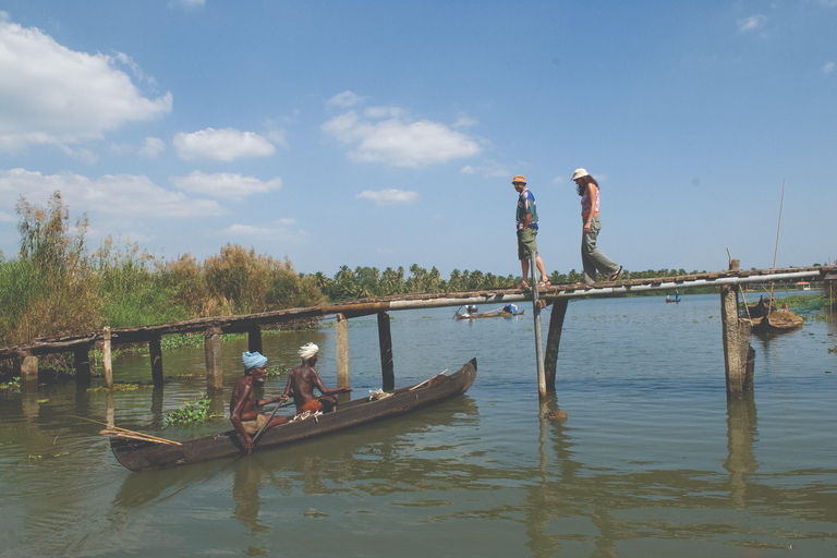 From Kochi: Alleppey Houseboat Cruise with Meals & Transfers