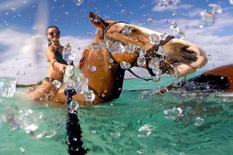 Randonnée à cheval privée et baignade à Montego Bay