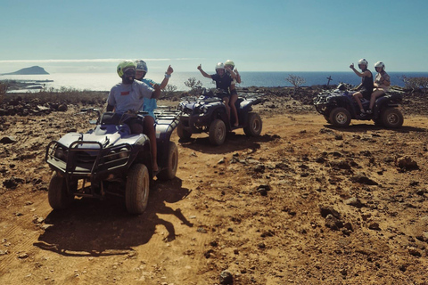 Tenerife: 100% Off-Road Quad Adventure with Pickups & Drinks Single Off-Road Quad Adventure with Pickup & Snacks