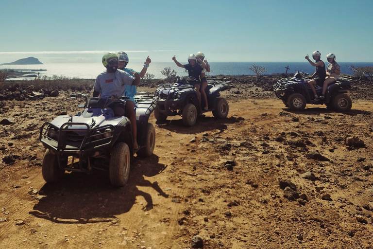 Tenerife: 100% Off-Road Quad Adventure with Pickups & Drinks Single Off-Road Quad Adventure with Pickup & Snacks