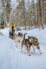Mont-Tremblant: Hundeschlittenfahrt Obere Laurentien