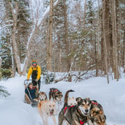 Traîneau à chiens dans les Hautes-Laurentides, près de Mont-Tremblant