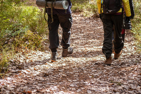 Helsinki: Uutela Guided Nature Hike with Snack