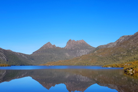 9 dagars rundtur i Tasmanien i cirkel