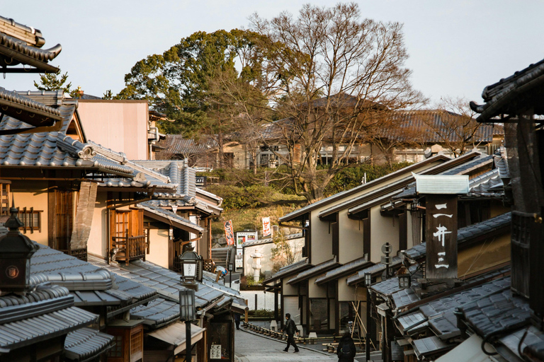 Kyoto: Private Full-Day Tour with driver-guide Full Day Private Tour in Kyoto with Private Transportation