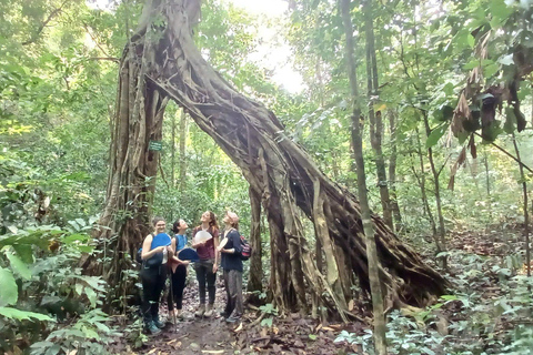 من هانوي: جولة لمدة يومين في جزيرة كات با مع رحلات المشي لمسافات طويلة