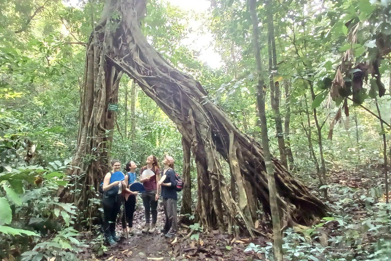 من هانوي: جولة لمدة يومين في جزيرة كات با مع رحلات المشي لمسافات طويلة