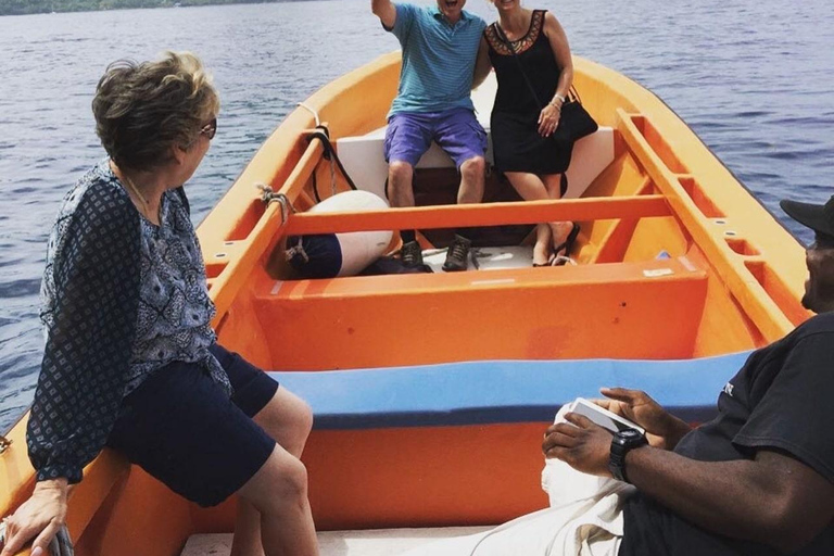 St. Lucia: Private Bootstour nach SoufriereHalbtags 25&#039; Schnellboot &quot;Israel King&quot;