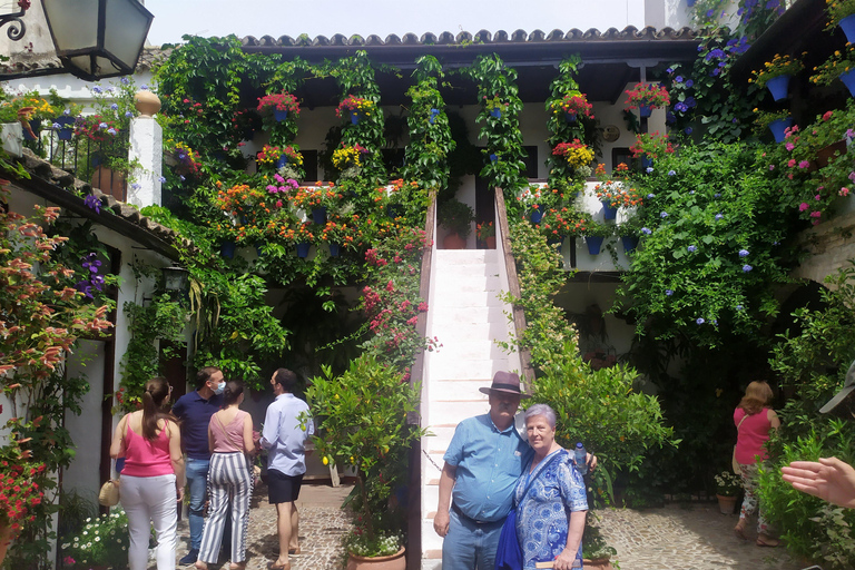 Discover the Patios of Cordoba: A Treasure of Color and Tradition.