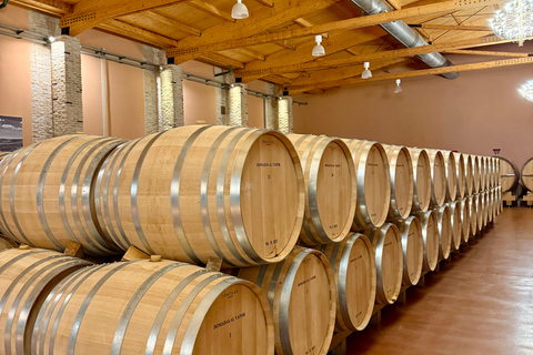 From Madrid to Castilla & León: Hidden Vineyards and Towns