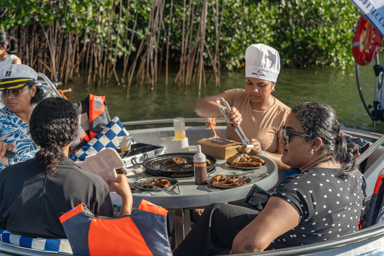 Denarau: Self Drive BBQ eBoat Cruise with Onboard BBQ Fiji Self-Drive Cruise with optional BBQ onboard