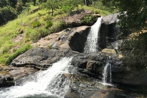 Excursión de un día a la cascada de Diyaluma desde Galle WeligamaExplora la cascada de Diyaluma