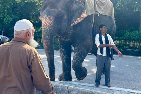 Delhi: 6-Day Golden Triangle Delhi, Agra, and Jaipur Tour Tour Without Hotel Accommodation