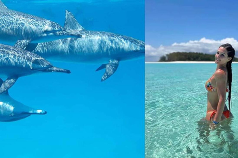 Zanzibar: Privat delfinsafari och snorkling i MnembaDet här alternativet inkluderar upphämtning och avlämning på hotellet