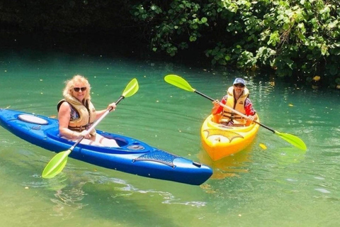 Vanuatu: Island Tour with Snorkelling, Hot Springs & Kayak