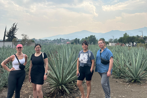 Vamos comer no Mercado de Tlacolula no domingo e tomar mezcal.Vamos comer no Mercado de Tlacolula num domingo e beber Mezcal.
