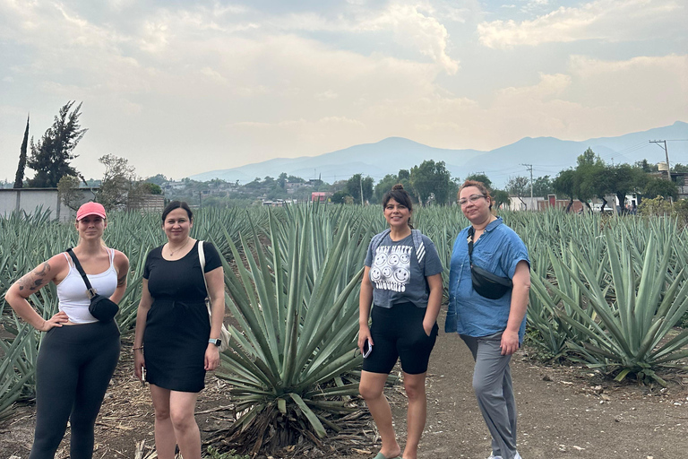 Vamos comer no Mercado de Tlacolula no domingo e tomar mezcal.Vamos comer no Mercado de Tlacolula num domingo e beber Mezcal.