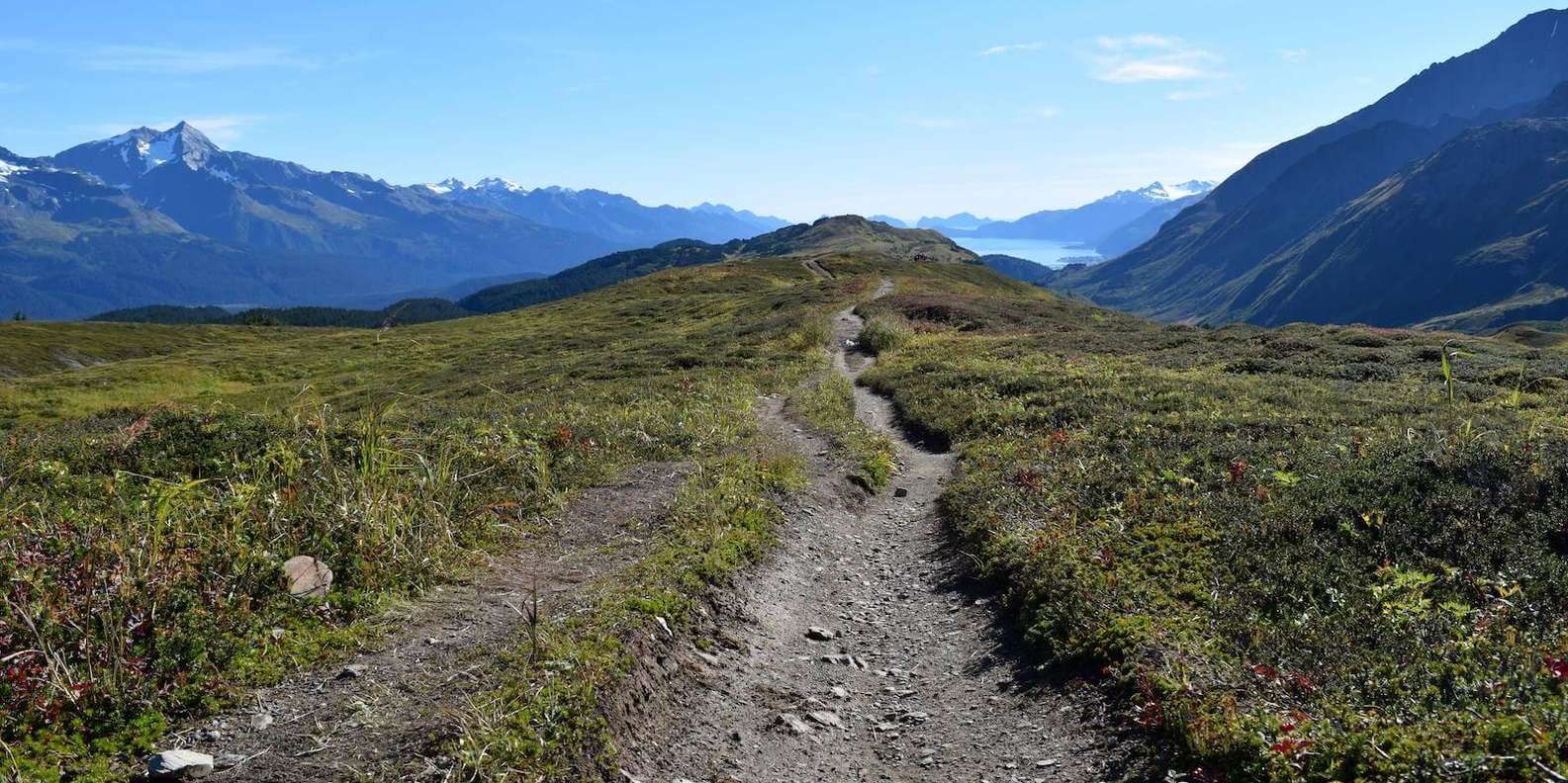 From Seward: Lost Lake Trail Hiking GetYourGuide