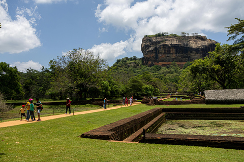 From Colombo: Sigiriya, Dambulla & Minneriya Safari Day Tour