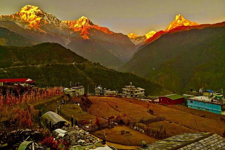 Katmandu: Rapid Ghorepani Poon Hill Trek med guide