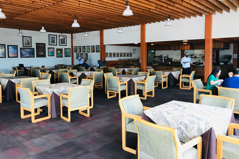 Visite &quot;Termas de San Joaquín&quot;, avec transfert et billetsMonterrey : Retraite de bien-être Termas de San Joaquín