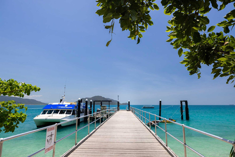 Fitzroy Island: Full-Day Ferry & Snorkel Safari Guided Tour