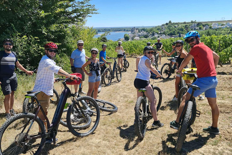 Chateau della Valle della Loira: tour di 2 giorni in bicicletta con degustazione di vini