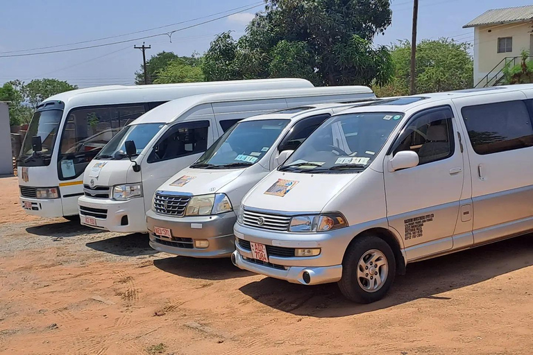 Excursión de un día completo al Parque Nacional de Chobe (safari y crucero)