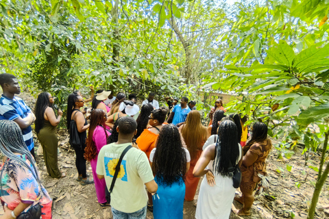 Accra: Giardino Botanico di Aburi, Fattoria del Cacao e Cascata ...