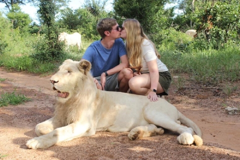 Victoria Falls: Elephant, Lion, and Cheetah Encounter