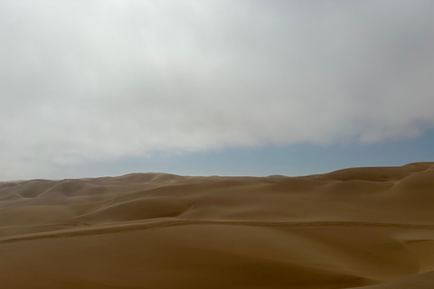 Swakopmund: Namib Desert Sunrise, Seals & Sandwich Harbour