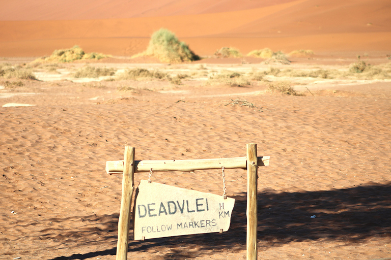 Windhoek: Namibia 12-Day Self-Drive Tour with Lodging