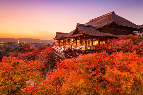 kyoto One Day Tour: Kinkaku-ji, Kiyomizu-dera&Fushimi Inari Kyoto Station Meeting Point at 9:50 AM