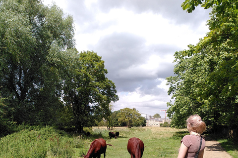 Walking tour of Cambridge, with local guideRundvandring i Cambridge med lokal guide